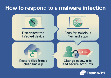 Infographic showing four response steps after a malware infection: disconnect the infected device, scan for malicious files and apps, change passwords and secure accounts, and restore files from a clean backup.