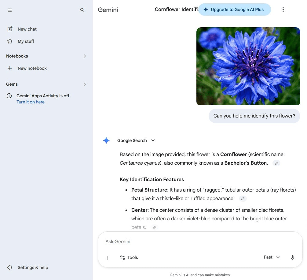 Google Gemini interface.