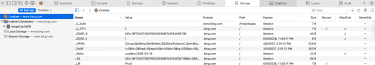 Safari Web Inspector Storage tab showing cookies for a website.