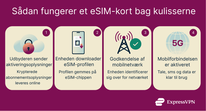 Image How An Esim Da 1