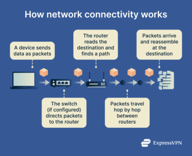 How data packets move through switches and routers.