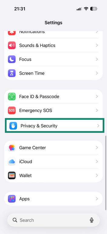 iPhone settings, with the Privacy & Security option highlighted.