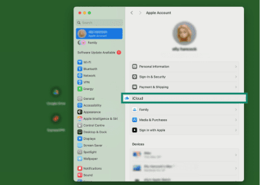 Apple ID settings on macOS.