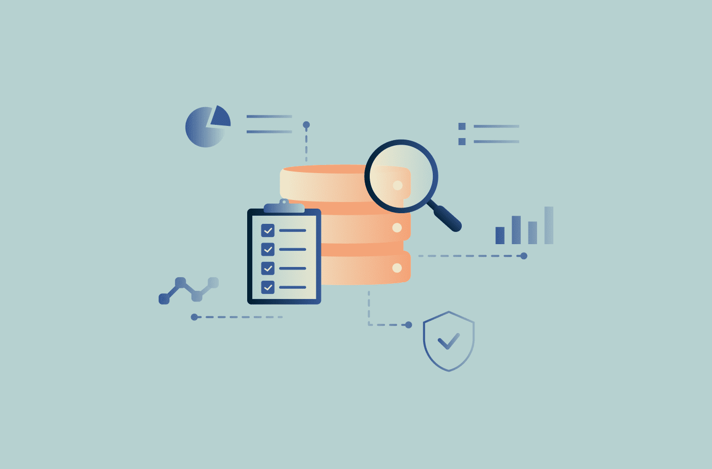 Data audit