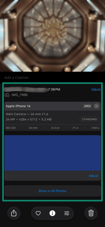 Photo details and metadata shown in the Info panel on iPhone
