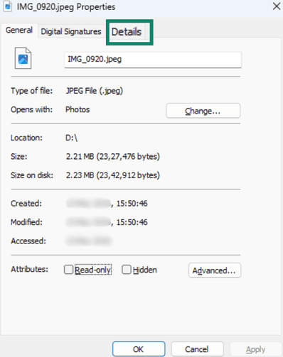 Details tab selected in the file Properties window.