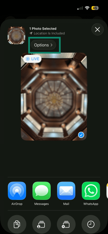Options button at the top of the iPhone sharing screen