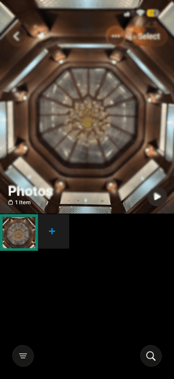 Selected photo in the iPhone Photos app