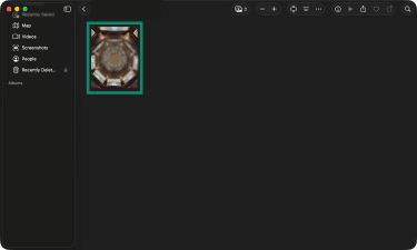 Image selected in the Photos app on Mac