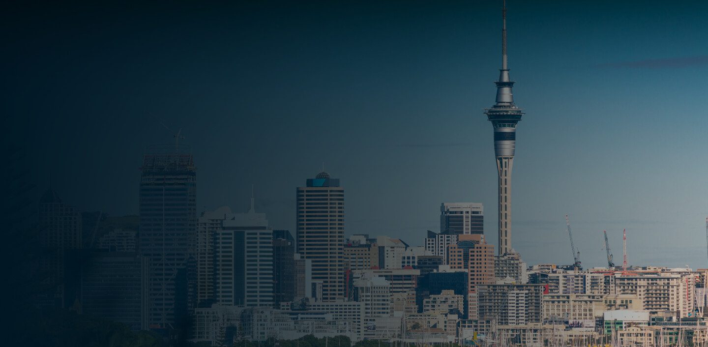 Nz Server Desktop